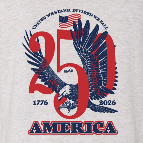 USA 250 Tee