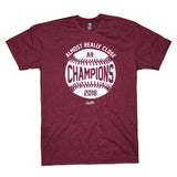 Champions...Almost Really Close
